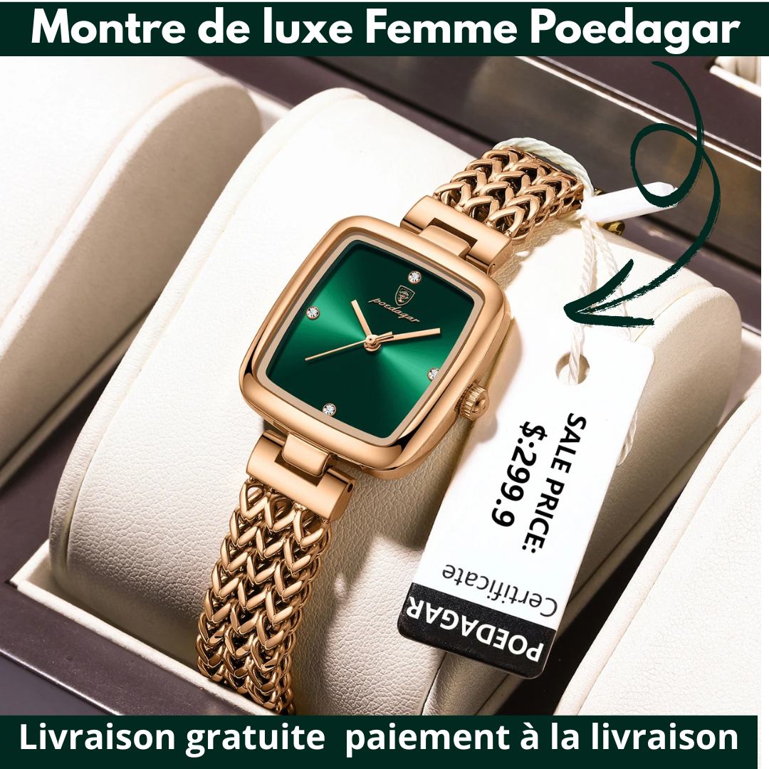 MONTRE DE LUXE FEMME BRACELET EN MAIL D'ACIER INOXYDABLE-POEDAGAR